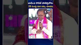 KCR Hot Comments On CM Revanth | జాడించి కొడితే పాకిస్తానోడు 25 ఏండ్లు మన దిక్కు చూడడు | ZEE News