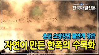 [전국매일신문] 춘천 소양강댐 물안개 장관