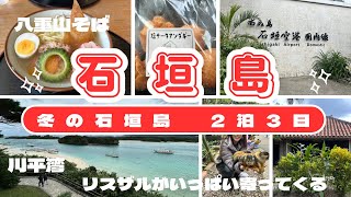 [vlog]沖縄の石垣島を大満喫☺️ 美味しいグルメやオススメスポットを周ってきました‼️