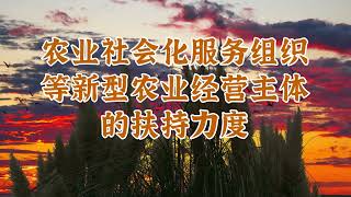 全国两会解读：第二轮土地承包如何为农民增收铺平道路？