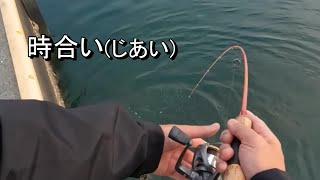 【穴釣りと時合い】