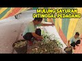 MASAK HASIL MULUNG⁉️ TUMIS SANTAN BUNCIS SANGAT SEDAP, ANAK