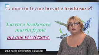 Dituri natyre 5 - Riprodhimi tek kafshët