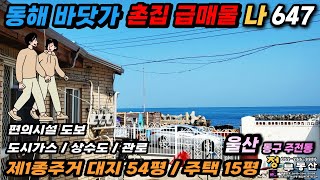 울산촌집 급매물 ~ 귀한 동해바다 1선에 위치한 울산 동구 주전동 바닷가 촌집 급매물~!