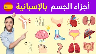 أجزاء الجسم باللغة الاسبانية Los partes del cuerpo en español #تعلم_اللغة_الإسبانية_للمبتدئين