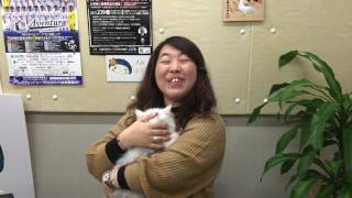 川口市の情報満載！今日は猫と一緒に生放送！テーマはあなたの好きな動物を教えて！ラジオ85.6MHz生放送！