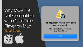 Why MOV File Not Compatible with QuickTime Player on Mac (Video Codec: Animation & Apple ProRes)