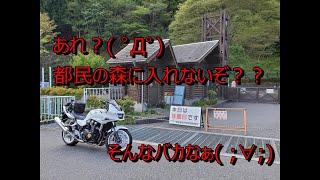 【モトブログ】秋のツーリング～山中湖・道志・奥多摩 編～#6【CB1300SB】