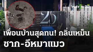 เพื่อนบ้านสุดทน ฝังหมา-แมวหน้าบ้านกลิ่นคลุ้ง | 29 เม.ย. 67 | ข่าวเย็นไทยรัฐ