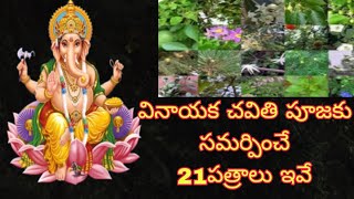 వినాయక చవితి పూజకు 21పత్రాలు ఇవే |Vinayaka Chavithi Patri|names of 21 leaves for ganesh pooja