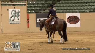 Sarah Dawson and Wright On Hickory Rein Work Prelims SBF 2016