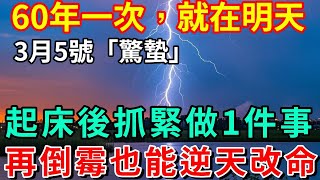 60年一次，就在明天！3月5號驚蟄，起床後趕緊做一件事，再倒黴也能逆天改命！乞丐也能翻身變富翁！| 好運蓮蓮 #運勢  #命理  #佛教  #財運  #風水  #佛  #生肖  #好運蓮蓮