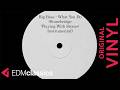 Big Bass vs. Michelle Narine - What You Do (Stonebridge 'Playing With Stones' Instrumental) (2000)