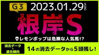 『2023 G3 根岸S 消去データ \u0026 過去傾向 』レモンポップは危険な人気馬？　14の消去データから5頭残し！