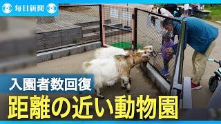 盛岡市動物公園、22年ぶり入園者20万人超え　重視するある理念