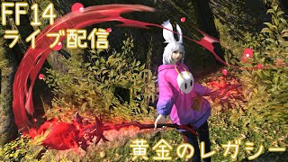 【FF14】黄金のレガシー パッチ7.0 守護天節2024