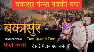 बकासुर देसाई मैदान २०२५ फुल कवर Bakasur desai maidan full cover