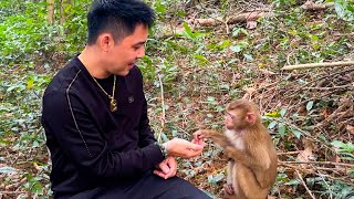 Dad met a monkey that looked like a Monkey Kaka while traveling