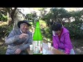 渓谷を歩く2021.11.10　（八王子映像　紅葉 御嶽渓谷）