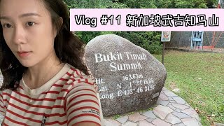 带你体验新加坡最高峰 - 武吉知马山 | 周末去爬山 | Bukit Timah Hill