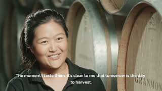 GranMonte Vineyard and Winery, Khao Yai | Wine of Thailand | Short ver. TH with EN sub