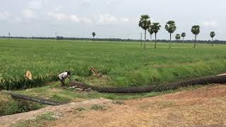 *prakruthi andalu || Konaseema andhalu prakruthi video*