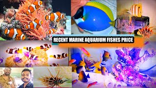 LATEST MARINE AQUARIUM FISHES PRICE AT KOLKATA | WESTBENGAL MARINE FISH PRICE 🔥