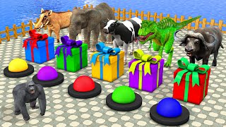 Choose The Right Gift Box Run Game With  Elephant Cow Gorilla Buffalo Pig Trex Wild Animals Games