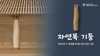 [K-Carpenter|한옥 목수|치목 EP.1] 자연목 기둥