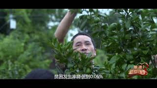 《加油！脱贫攻坚》《恪尽职守》张渠伟|CCTV