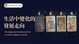 琪琪塔羅 | 【無時限】即將在生活中發生的變化以及發展走向