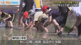 １４日　北九州市の柄杓田小学校で田植え体験