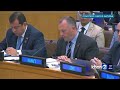 gov. green goes to the un to talk about hawaiʻi