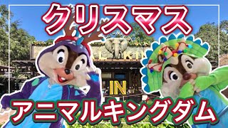 『ディズニーワールド』WDW:【ディズニークリスマス】をアニマルキングダムからお届け🎄