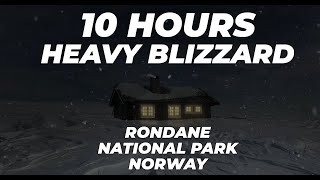 Heavy Blizzard in Rondane National Park, Norway┇Howling Wind┇Sounds for Sleep, Study \u0026 Relaxation