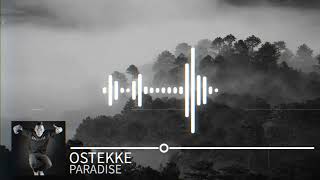 Coldplay - Paradise (Tekkno Remix) + DL