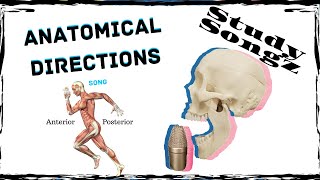 Anatomical Directions & Terms Song - Re edited - Study Songz