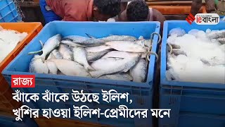 Hilsa Fish: মরশুমের প্রথম ভাল পরিমাণ ইলিশ নামখানা মৎস্যবন্দরে | ieBangla