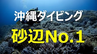 【沖縄散策】砂辺NO.1でダイビング！！沖縄人気アクティビティ実践！（Okinawa life log）