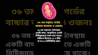 ৩৬ তম সপ্তাহে বাচ্চার আকার ও ওজন | Kamon World #গর্ভবতী #36week #pregnancy #shorts #shortvideo