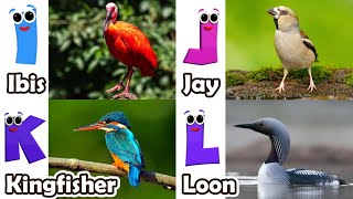 Birds Alphabet Song for Kids | Birds ABC Song | Phonics for Kids | Baby | Alphabet Letters