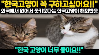 [해외반응] \