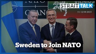 Türkiye Agrees to Back Sweden's NATO Bid on Eve of Summit