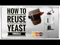 How to Reuse Yeast - Fermzilla - How to wash yeast - Homebrewing tips