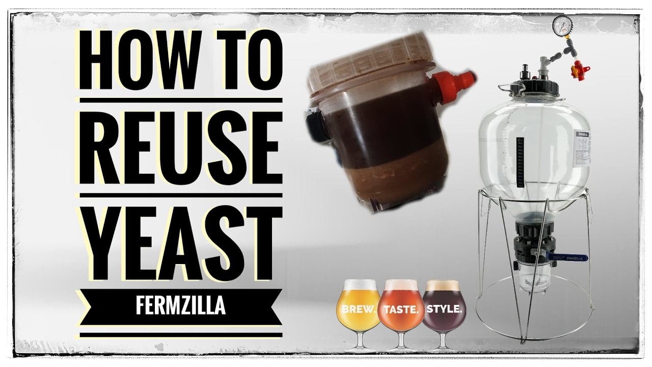 How To Reuse Yeast - Fermzilla - How To Wash Yeast - Homebrewing Tips ...