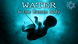 1. Water and the human body