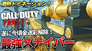 【COD:V】スナイパーでドミネーション！遂に最強のおすすめスナイパーが金迷彩になった件についてｗｗ【激熱】