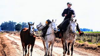 Recorre la Argentina a caballo