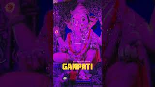 #shorts #ganesh #bappa #ganeshutsav #morya #2023 #ganpati #nagpur #ganeshji #ganpatibappamorya