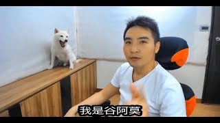 #556【谷阿莫】人狗廢片1：六個應該實用的養狗技巧